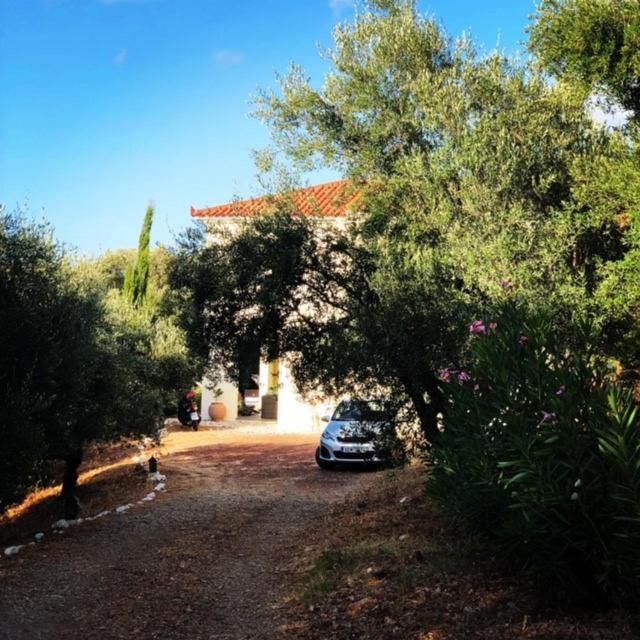 Kyparissia De Wandelboom Villa Vrises  Eksteriør billede