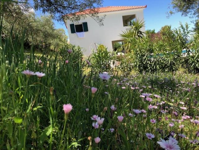Kyparissia De Wandelboom Villa Vrises  Eksteriør billede