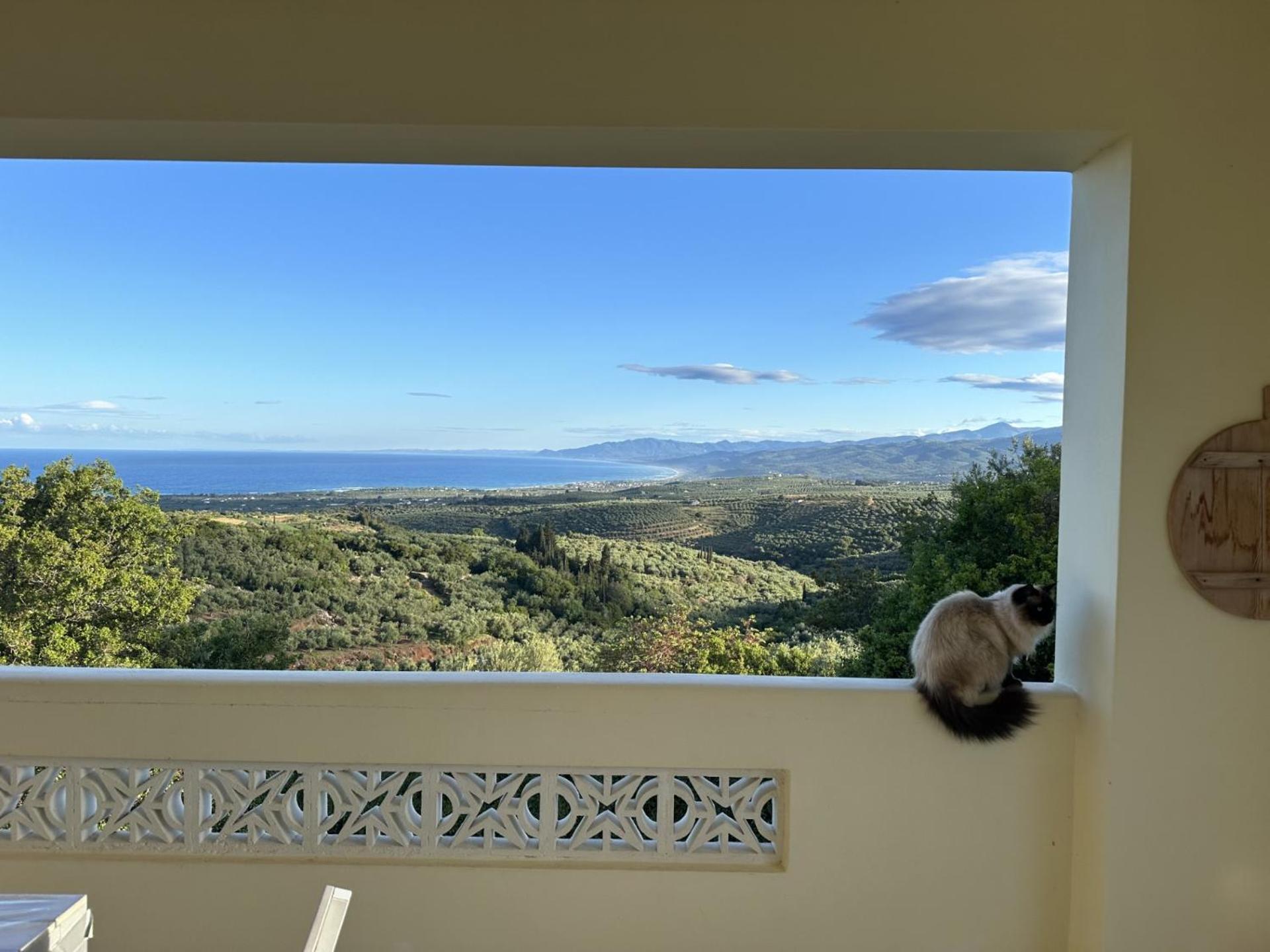 Kyparissia De Wandelboom Villa Vrises  Eksteriør billede
